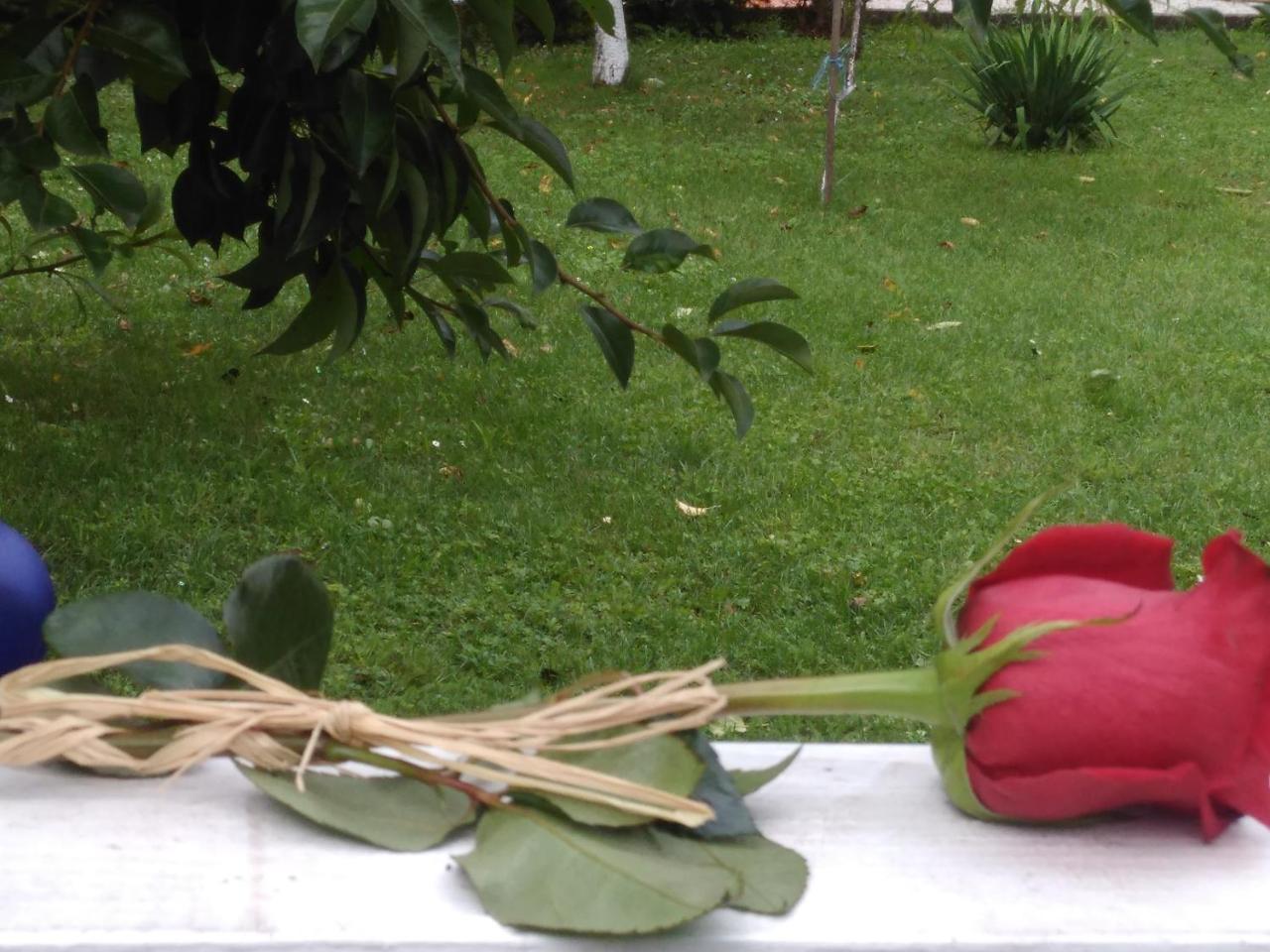 Bihać Apartmani Jasmina 2 מראה חיצוני תמונה